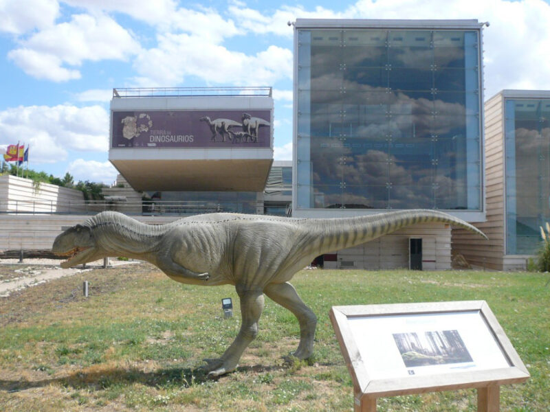 Pantalla de led transparente en el salón de actos del Museo Paleontológico Cuenca. Screenad especialistas en pantallas led